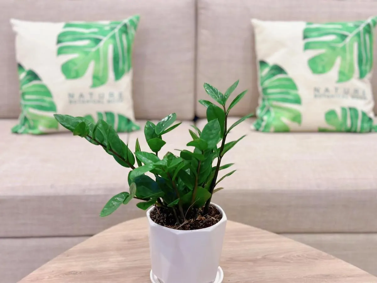 HomeAway - Melody Vũng Tàu